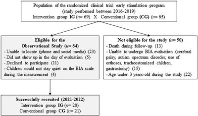 The impact of an early intervention home-based program on body composition in preterm-born preschoolers with very low birth weight